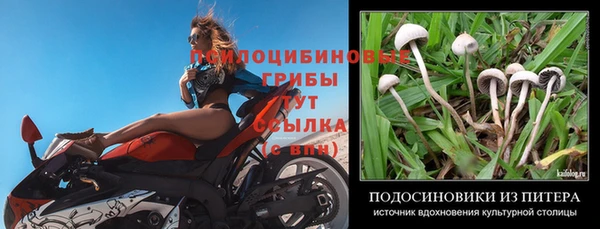 Альфа ПВП Белокуриха