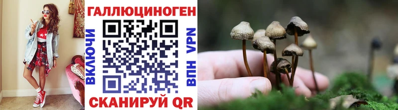 даркнет формула  Железноводск  Псилоцибиновые грибы GOLDEN TEACHER 